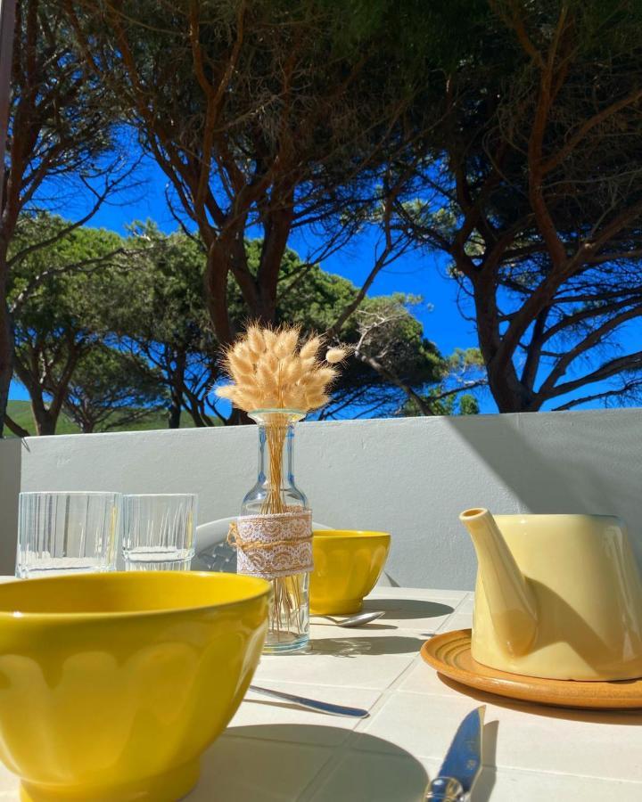 Apartment Domaine U Pozzu *