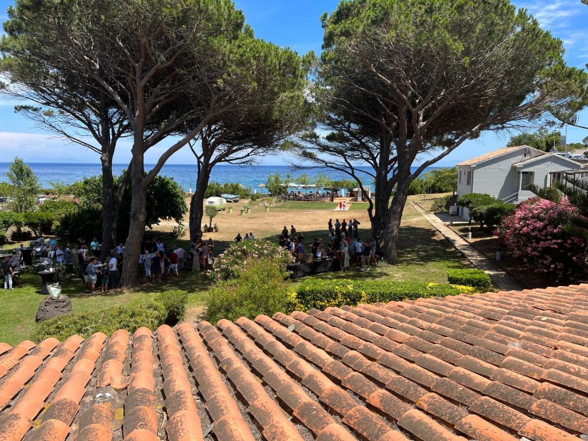 Domaine U Pozzu *